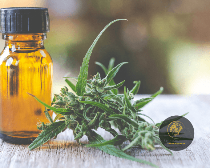 Como obter autoriza&ccedil;&atilde;o sanit&aacute;ria para o seu produto derivado de cannabis?