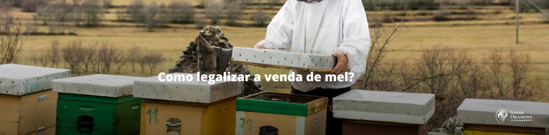 Como legalizar a venda de mel? Entenda a regulariza&ccedil;&atilde;o de produtores e revendedores