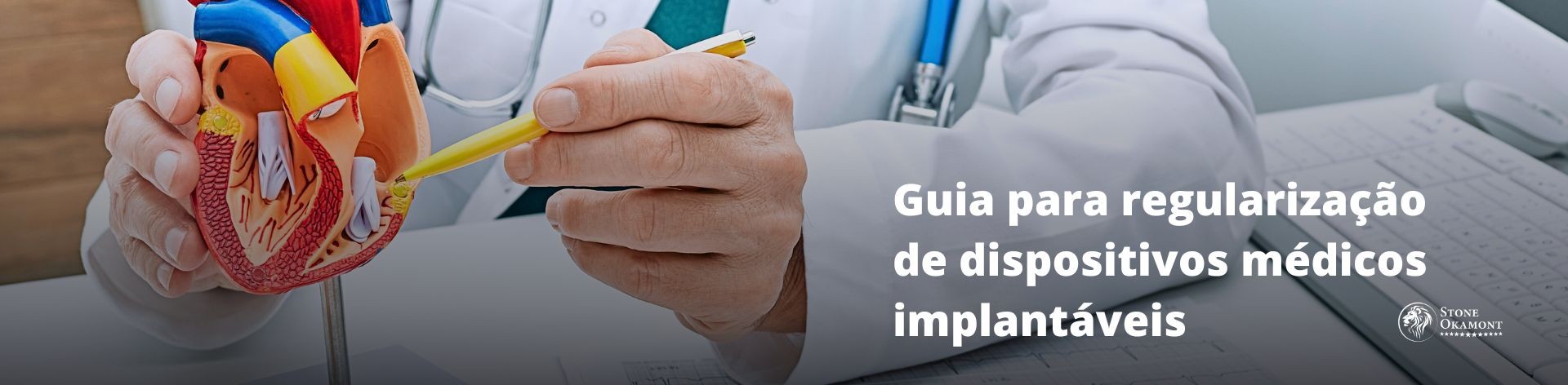 Guia para regulariza&ccedil;&atilde;o de dispositivos m&eacute;dicos implant&aacute;veis