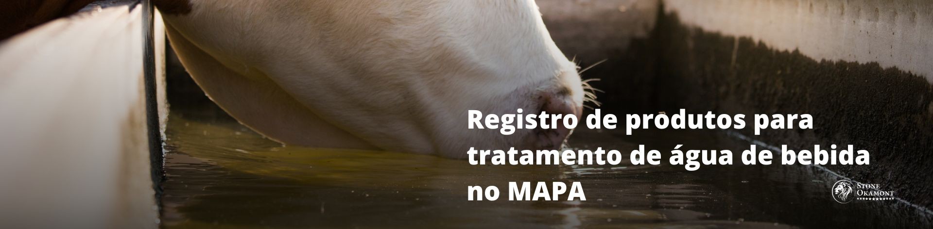 Registro de produtos para tratamento de &aacute;gua de bebida no MAPA