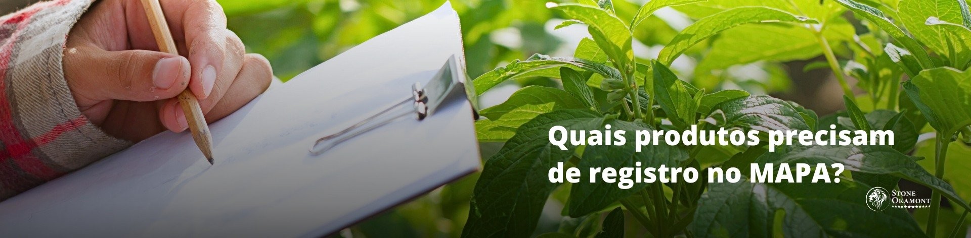 Quais produtos precisam de registro no MAPA?