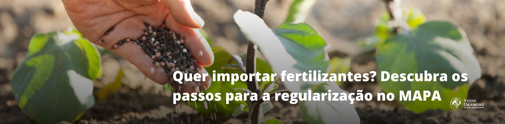 Quer importar fertilizantes? Descubra os passos para a regulariza&ccedil;&atilde;o no MAPA