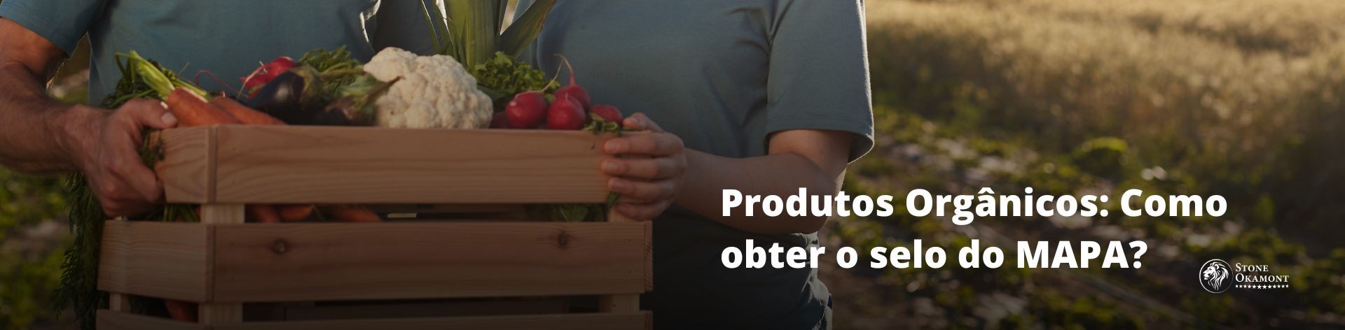 Produtos Org&acirc;nicos: Como obter o selo do MAPA?