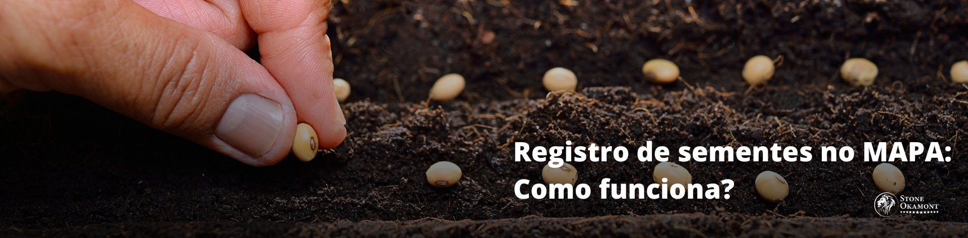 REGISTRO DE SEMENTES NO MAPA: COMO FUNCIONA?