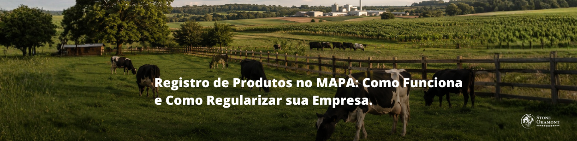 Registro de Produtos no MAPA: Como Funciona e Como Regularizar sua Empresa.
