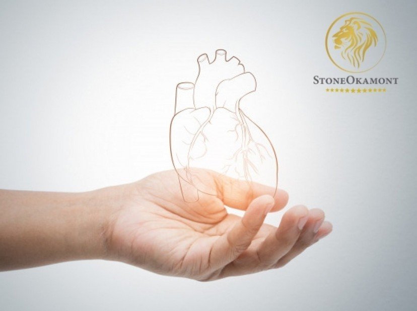 Como registrar válvula cardíaca artificial na Anvisa