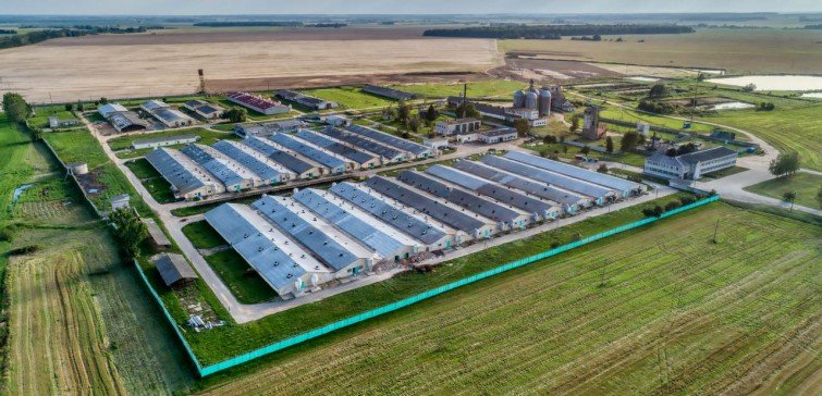 Registro de Estabelecimento junto ao MAPA