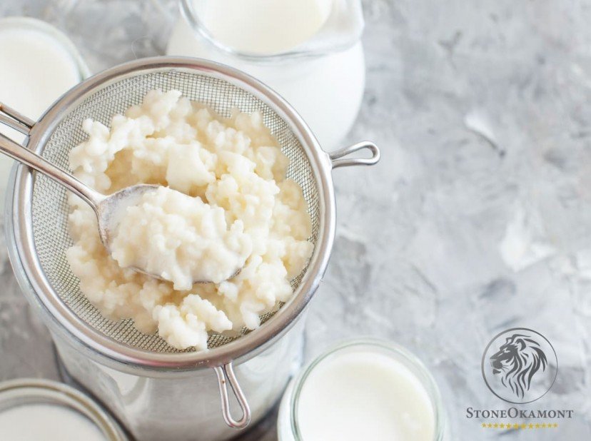 Como registrar kefir no MAPA