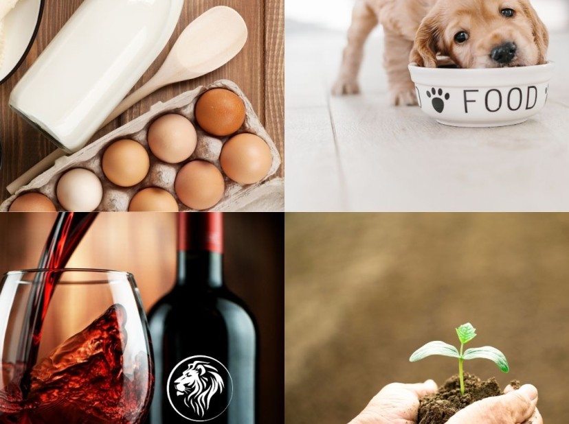 Quais são as etapas essenciais para realizar o registro de produtos junto ao MAPA?