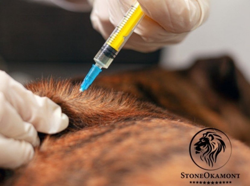 Como registrar antiparasitários no MAPA