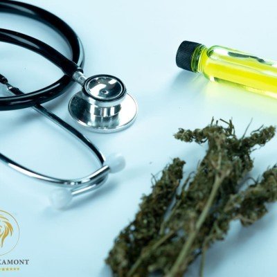 Como registrar medicamento a base de cannabis na Anvisa