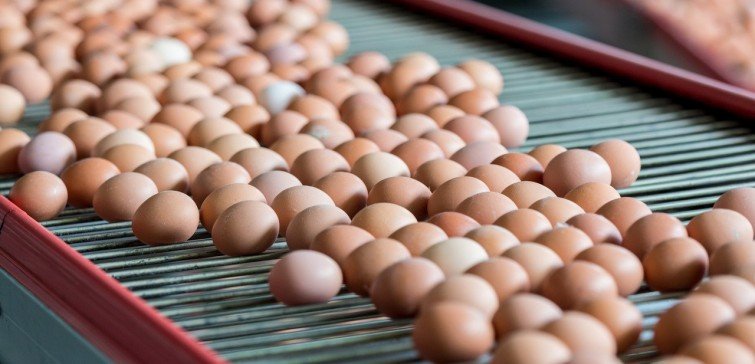 Registro de Produto de Origem Animal