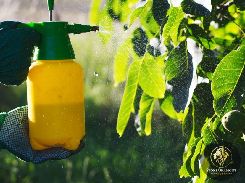 Como registrar inseticida para plantas?