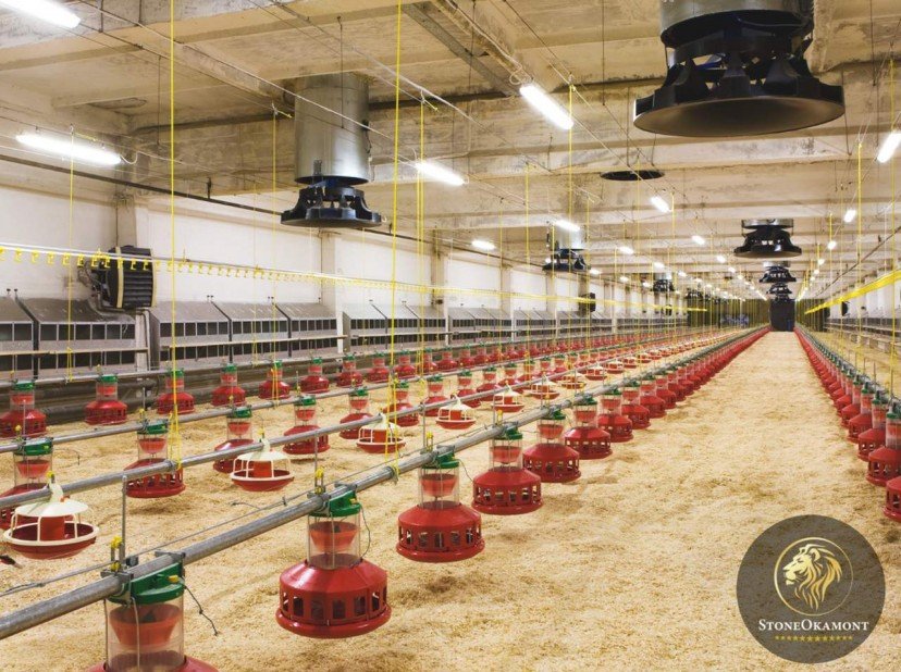 Como registrar granjas avícolas?