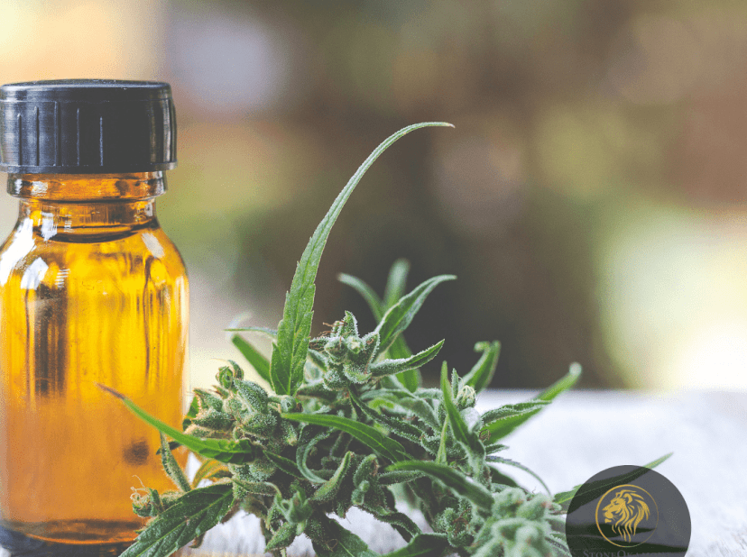 Como obter autorização sanitária para o seu produto derivado de cannabis?