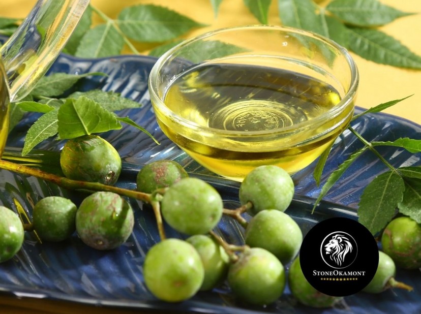 Como registrar óleo neem MAPA? 