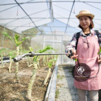 Como registrar biofertilizante no MAPA?