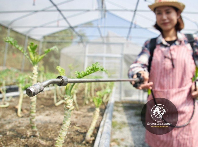 Como registrar biofertilizante no MAPA?