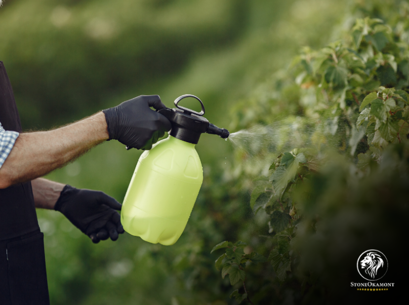 Como registrar biofertilizante no MAPA?