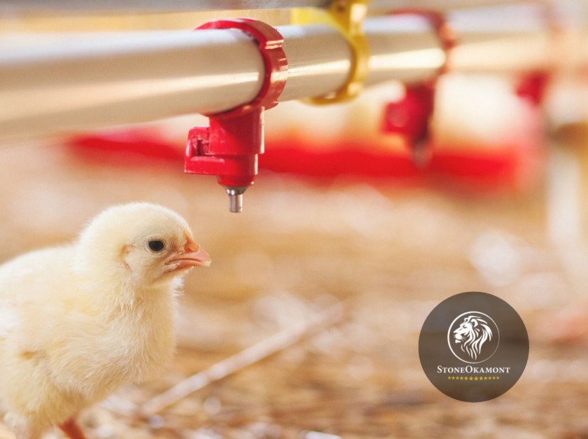 Como registrar anticoccidiano no MAPA?