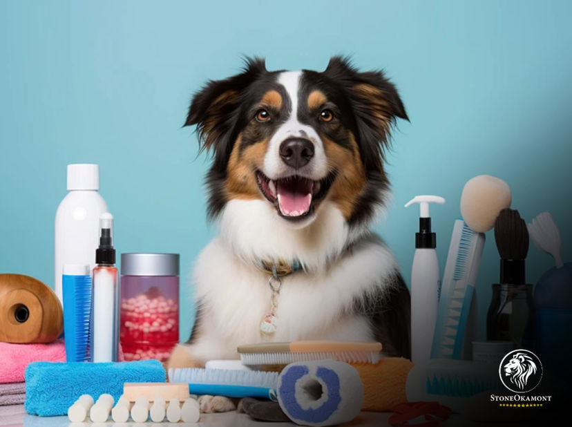 Como regularizar uma empresa para importar produtos PET?