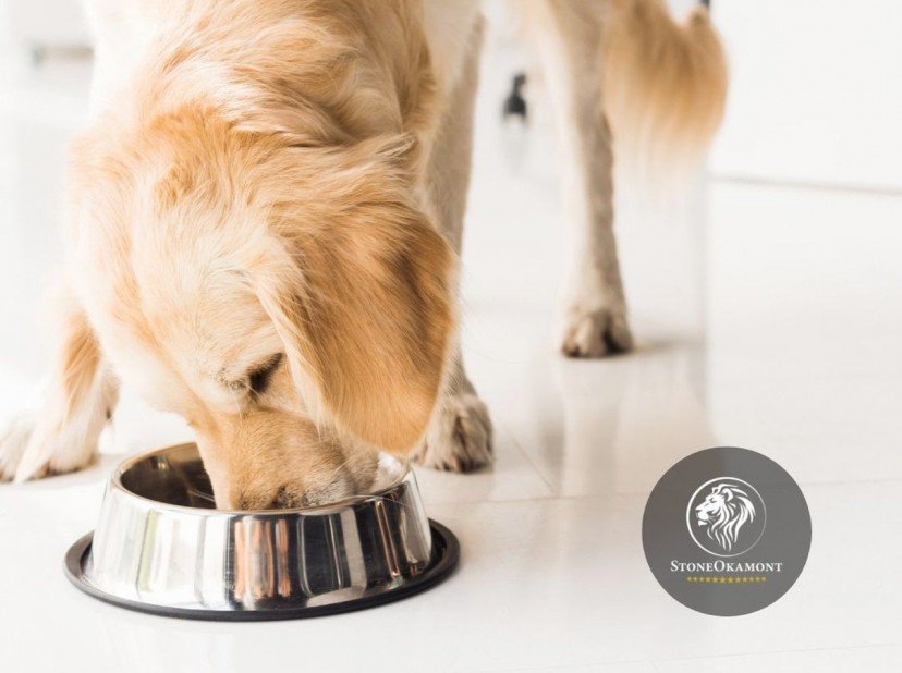 Como registrar estabelecimento importador de produtos PET?