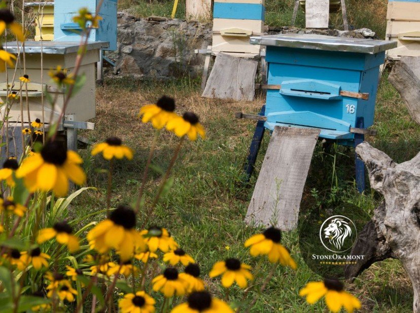 Como se dá a regularização de produtores e revendedores de mel?