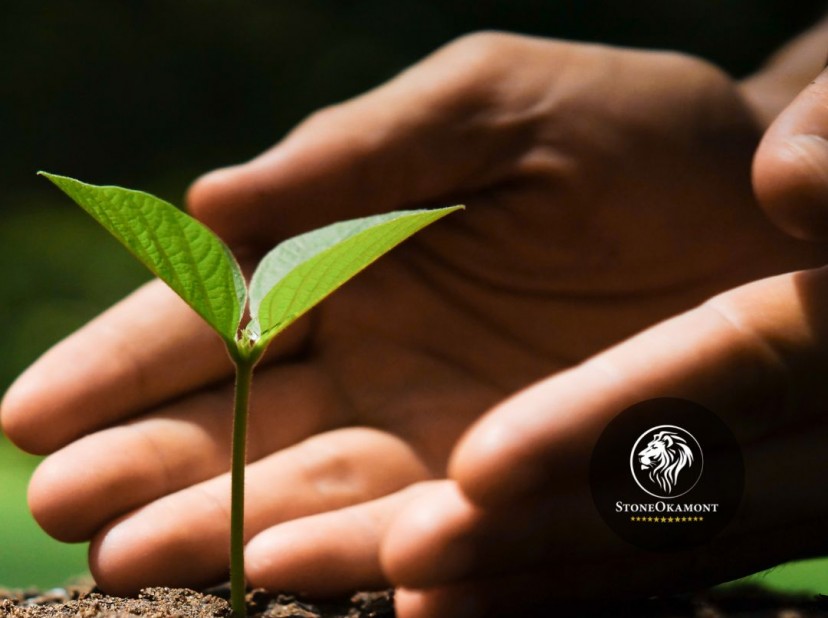 Como registrar fertilizante no MAPA?