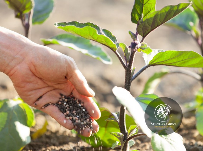 Quais as principais dificuldades para registrar fertilizantes?