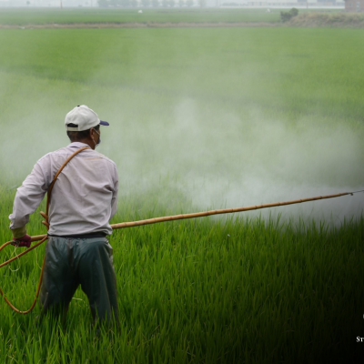 Quais são os principais motivos de indeferimento no registro de agrotóxicos?
