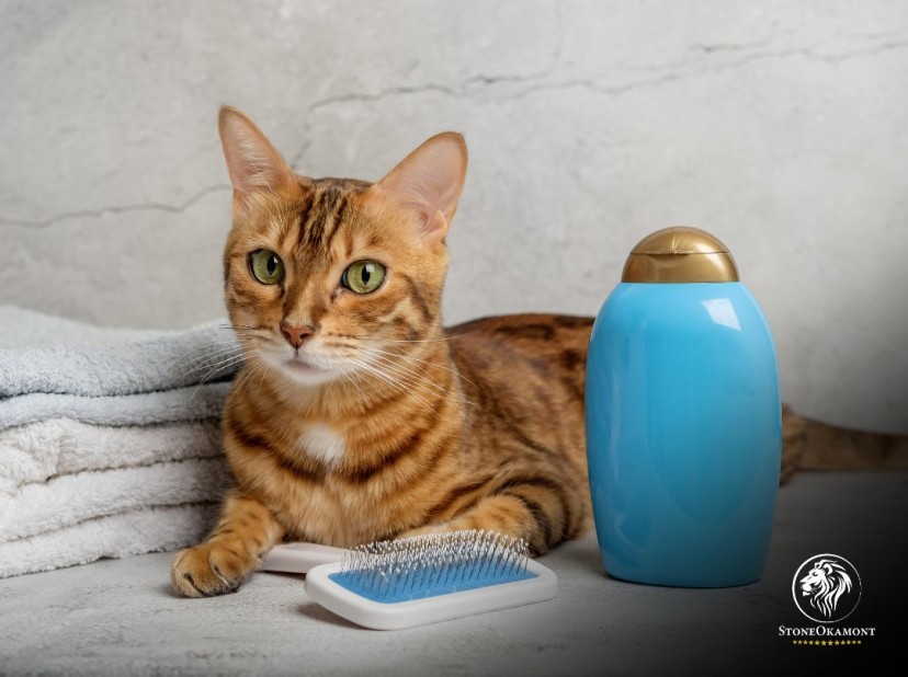 Regras para rotulagem de produtos de embelezamento animal.