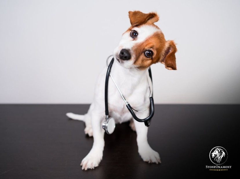 Requisitos para Registro de Produtos Veterinários