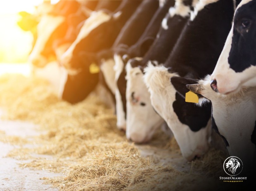 Como regularizar produtos de saúde para animais de produção?