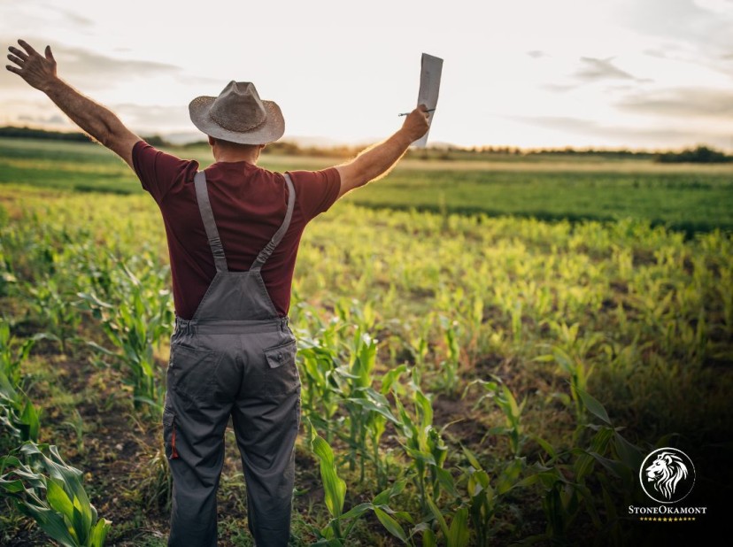 Quer crescer no agronegócio? Descubra como o registro no MAPA pode aumentar a sua competitividade