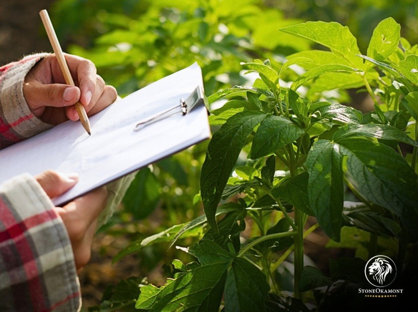 Quais produtos precisam de registro no MAPA?