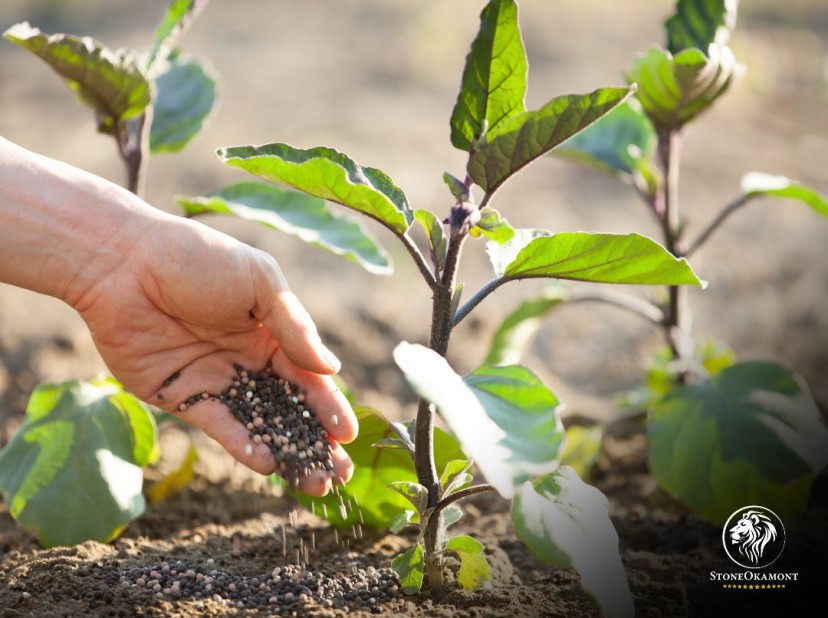 Quer importar fertilizantes? Descubra os passos para a regularização no MAPA