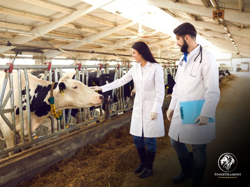 Impacto do Registro de Medicamentos Veterinários na Produção Agropecuária