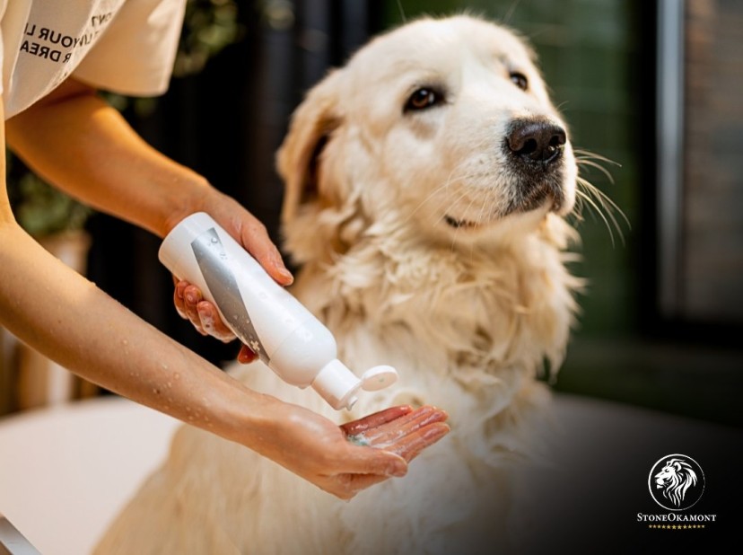 COMO TRANSFORMAR COSMÉTICOS HUMANOS PARA USO ANIMAL?