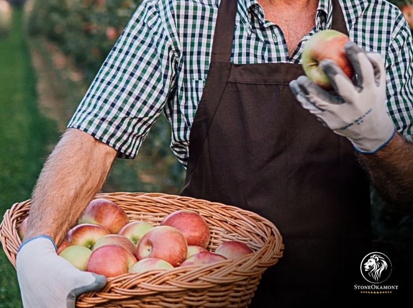 Como evitar indeferimentos no registro de produtos no MAPA?