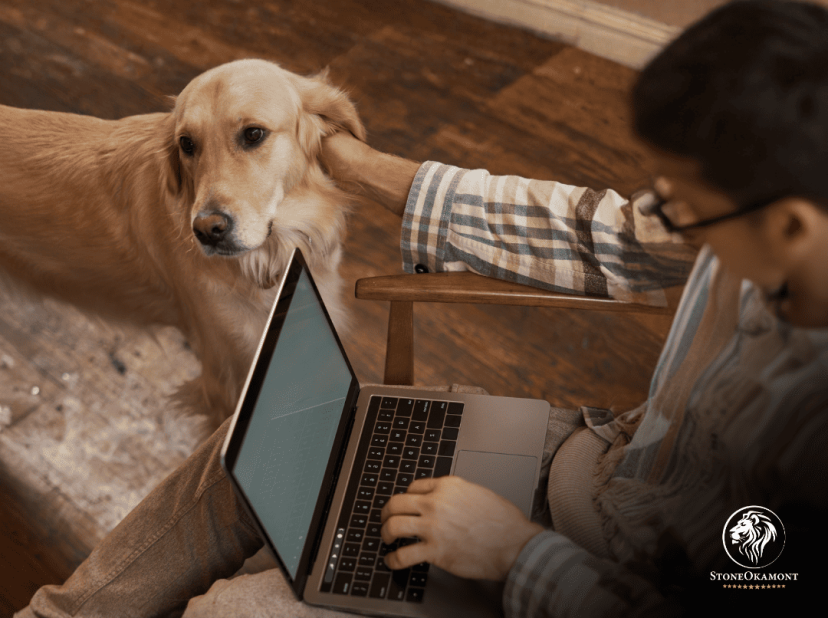 Descomplicando o Licenciamento no MAPA: Como a Stone Okamont Transforma Desafios em Resultados